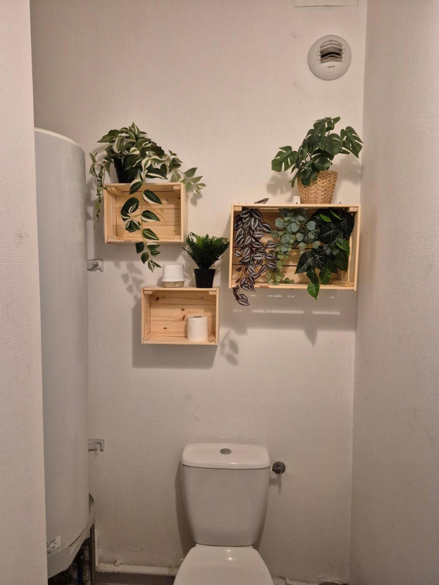 4 Voyageurs Avec Terrasse Et Wifi Appartement Carcassonne